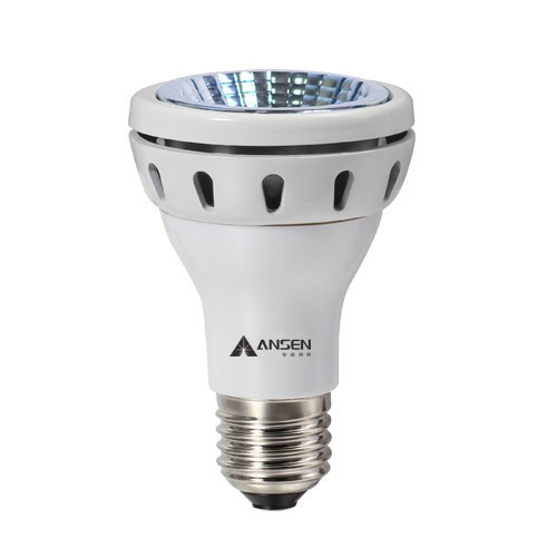 par20 led bulb